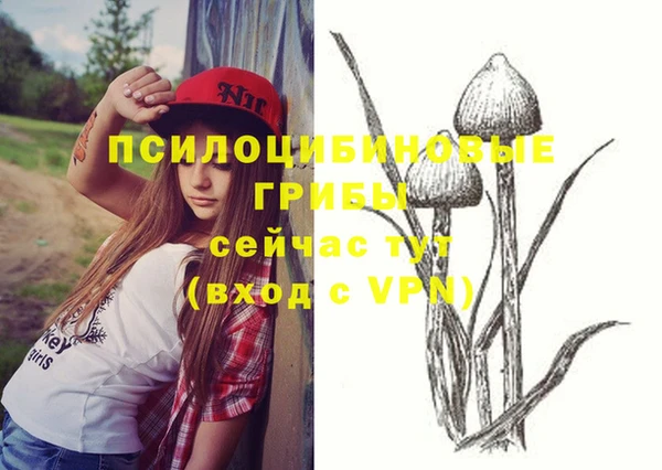 скорость Волосово